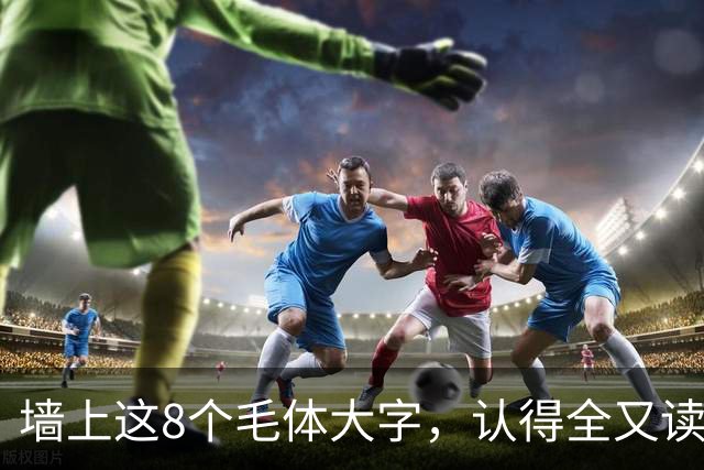 墙上这8个毛体大字，认得全又读得透的，这份功力我由衷佩服！