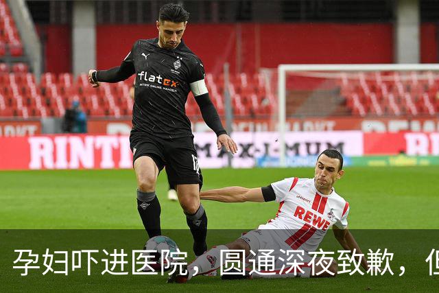 孕妇吓进医院，圆通深夜致歉，但那个让“咨询变罚款”的系统还在