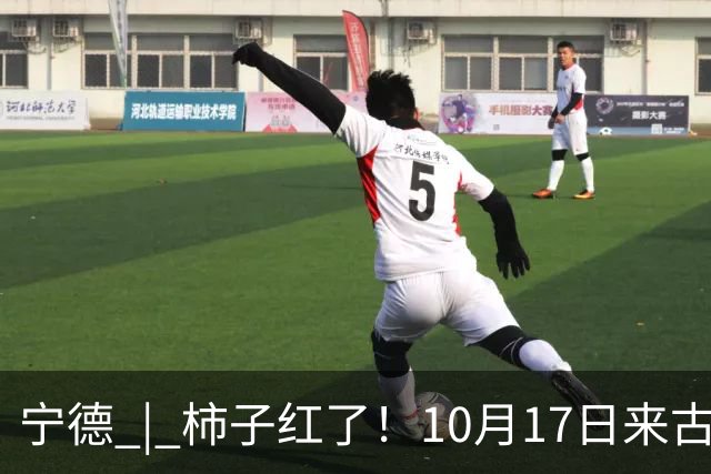 宁德 | 柿子红了！10月17日来古田利洋！拍照、逛吃、宋韵游园一站式拉满！