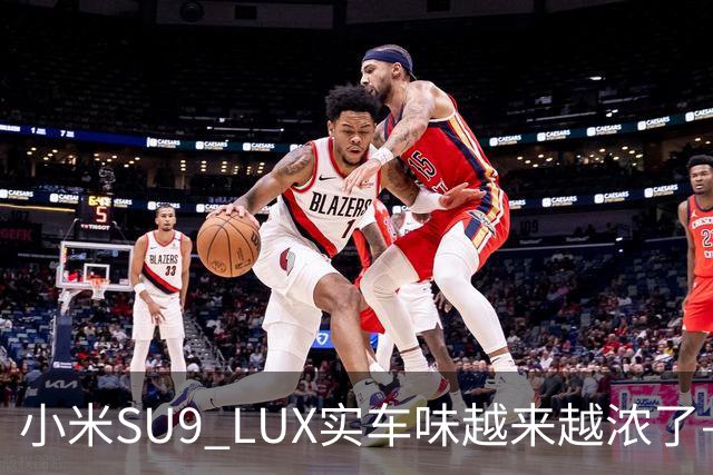 小米SU9 LUX实车味越来越浓了—加长的5.2米，到底长在了谁身上？