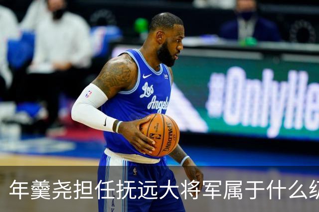 年羹尧担任抚远大将军属于什么级别？与大学士和军机大臣相比如何？