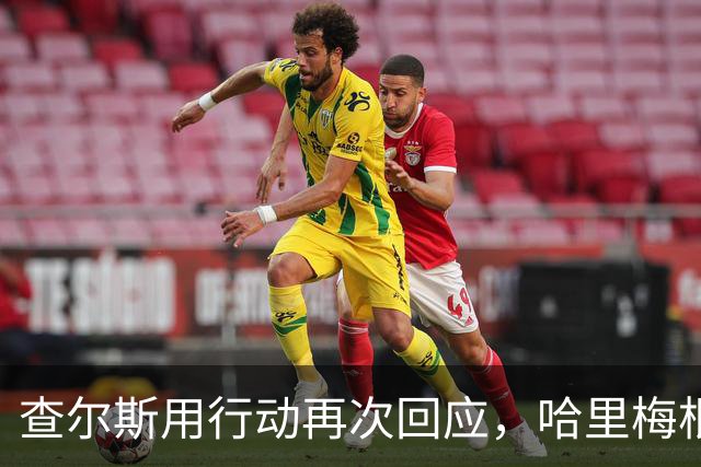 查尔斯用行动再次回应，哈里梅根进退两难，半进半出计划居然落空