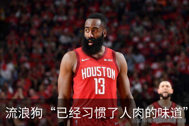 流浪狗“已经习惯了人肉的味道”